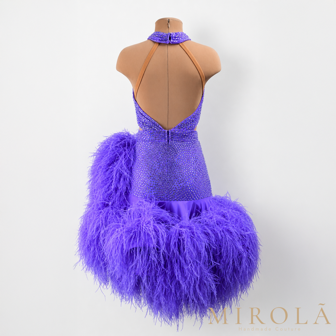 Amethyst Latin dance competition costume — back view